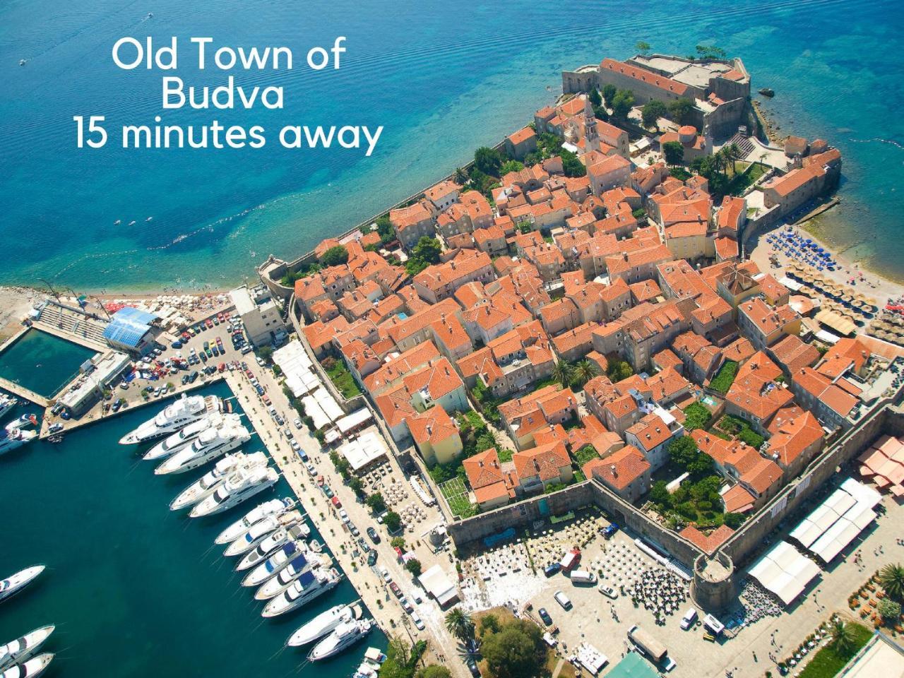 Golub Budva